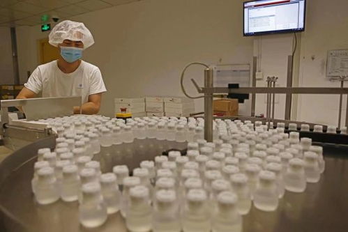 GE醫療堅定扎根中國信心，以更大規模參展第五屆進博會